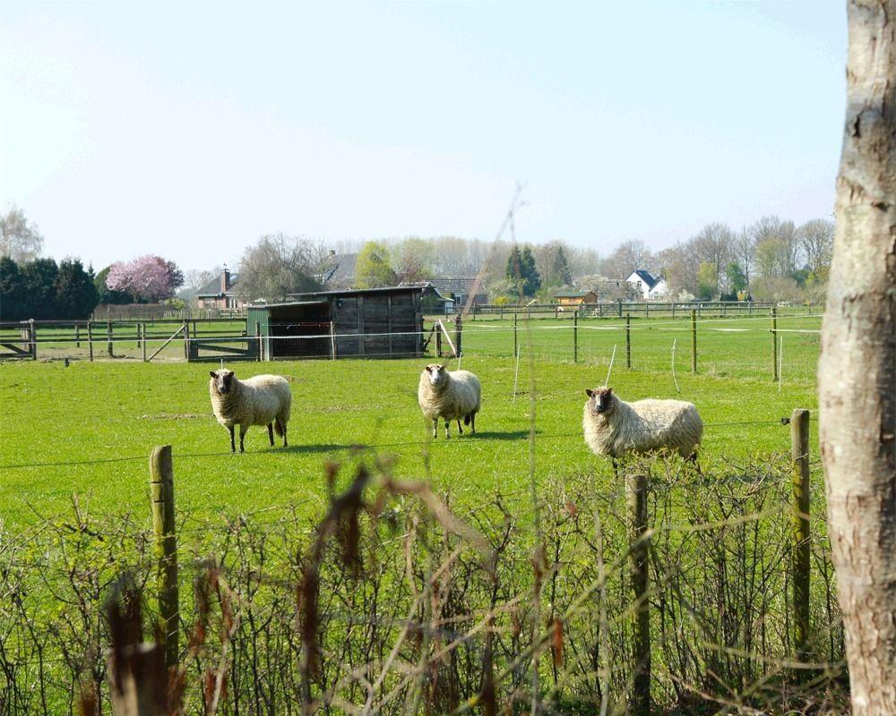Buitengoed De Panoven Zevenaar Exterior foto